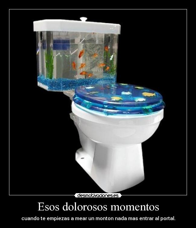 carteles dolorosos momentos bano tamasco mearse desmotivaciones