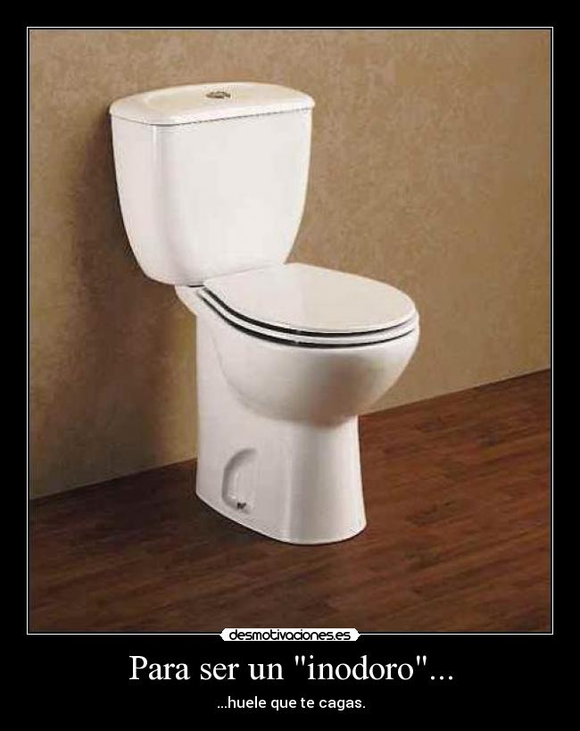 Para ser un inodoro... - 