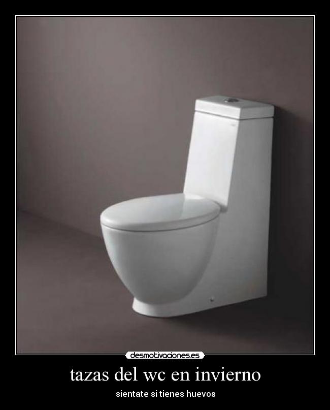 tazas del wc en invierno - sientate si tienes huevos