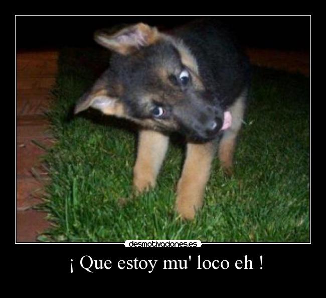 carteles muy loco desmotivaciones