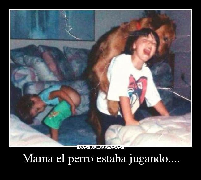 Mama el perro estaba jugando.... -