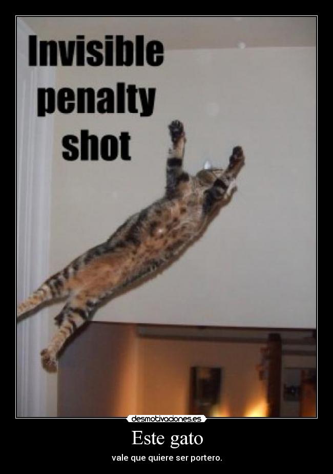 Este gato - vale que quiere ser portero.