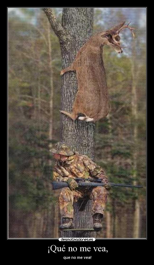 ¡Qué no me vea, -