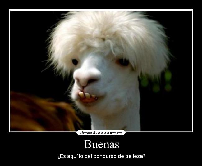 Buenas -