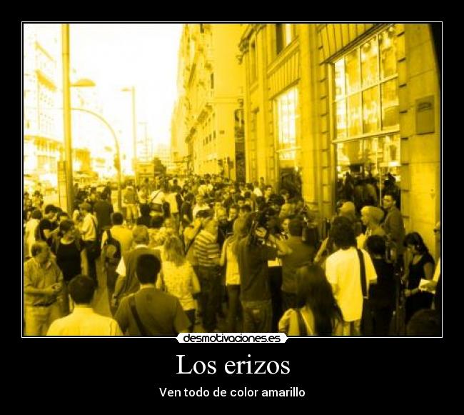 Los erizos - 