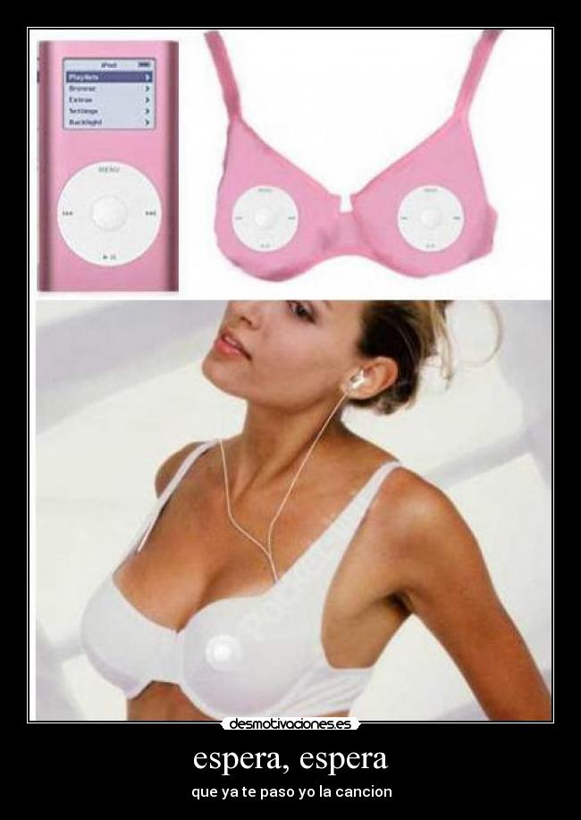 carteles tapir desmotivaciones