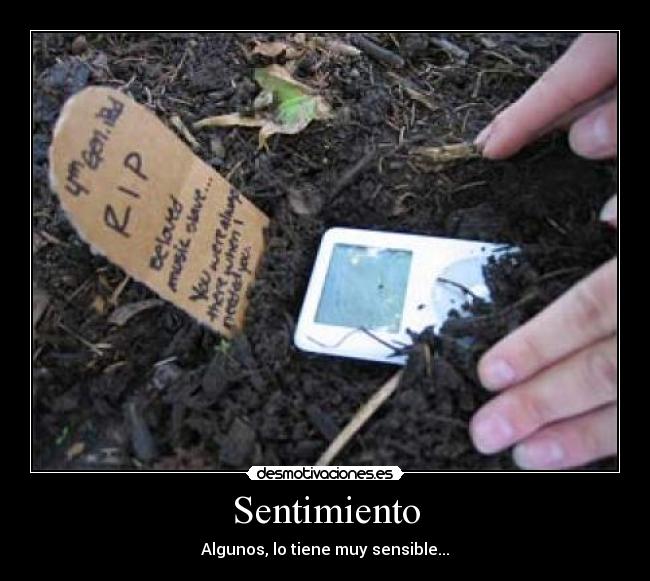 carteles sentimiento desmotivaciones