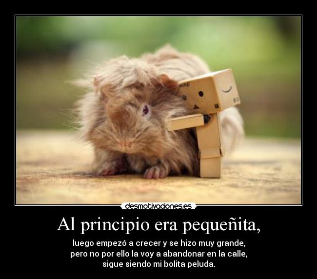 Al principio era pequeñita, -