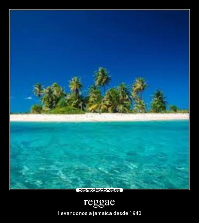 reggae - 
