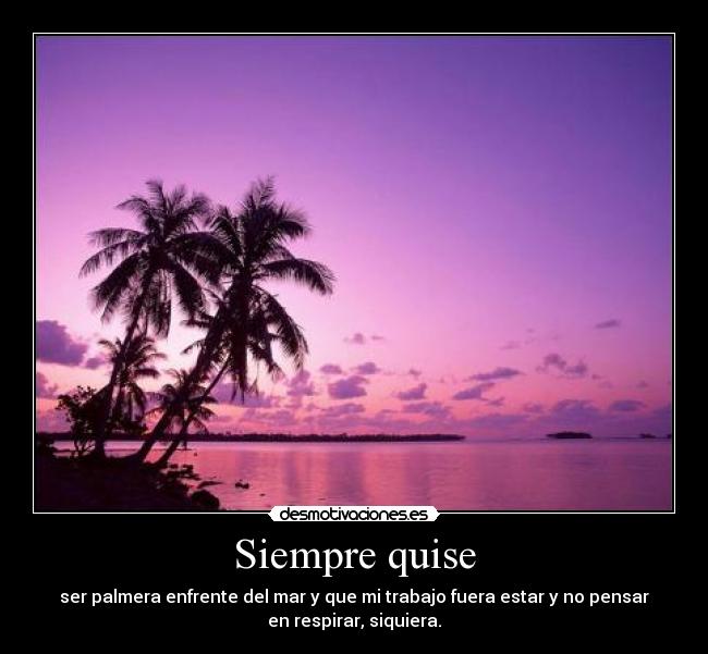 Siempre quise - 