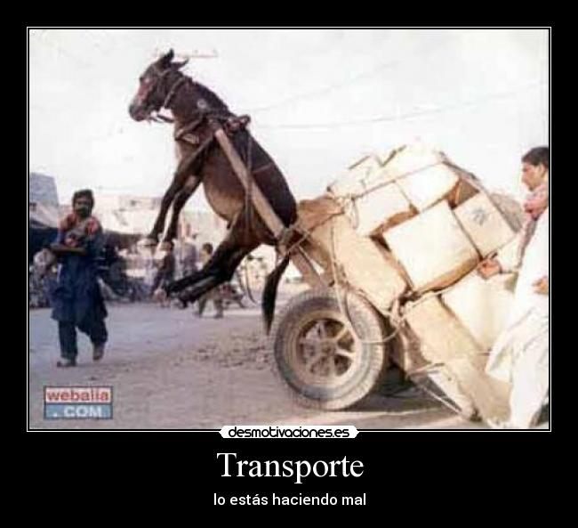 Transporte - lo estás haciendo mal