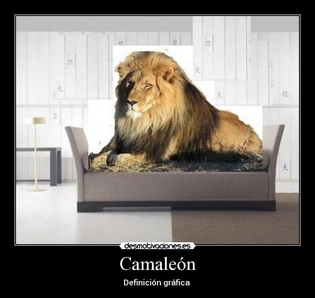 Camaleón - Definición gráfica 
