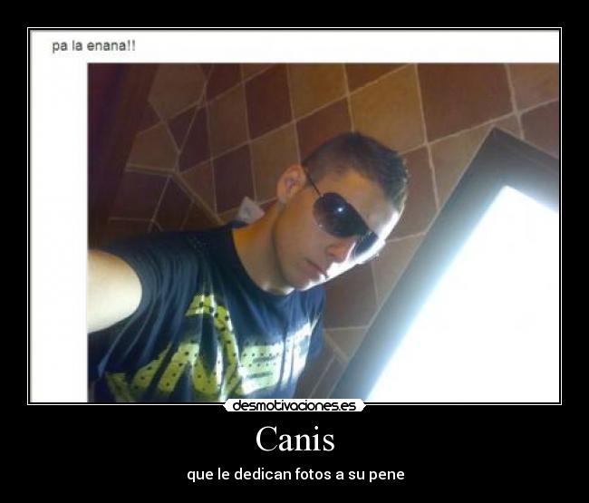 Canis -