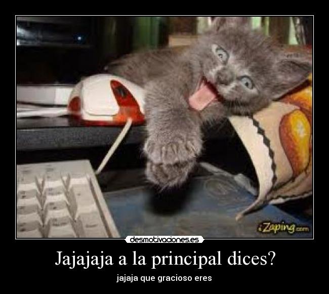 Jajajaja a la principal dices? - jajaja que gracioso eres