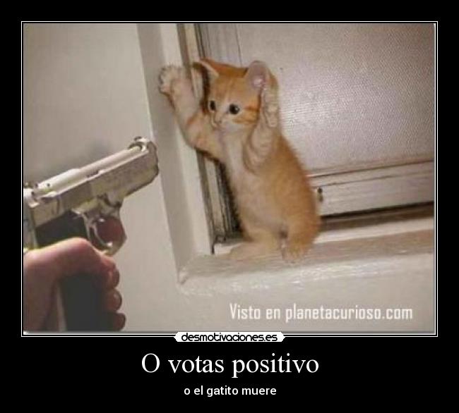 carteles humor desmotivaciones