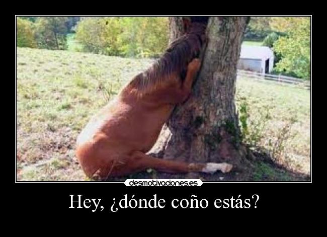 Hey, ¿dónde coño estás? -