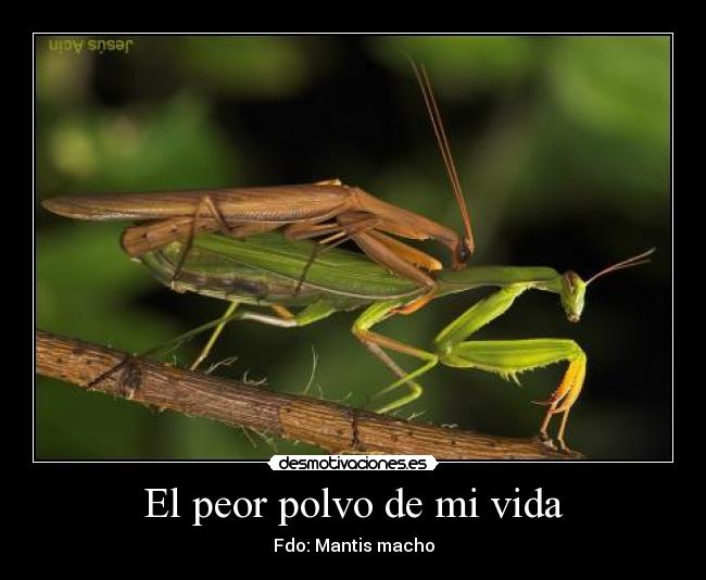 carteles vida cesaredutlvn desmotivaciones