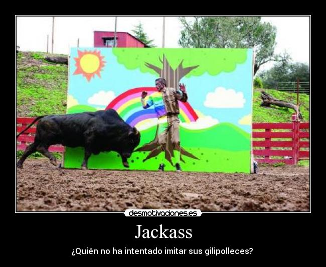 Jackass -