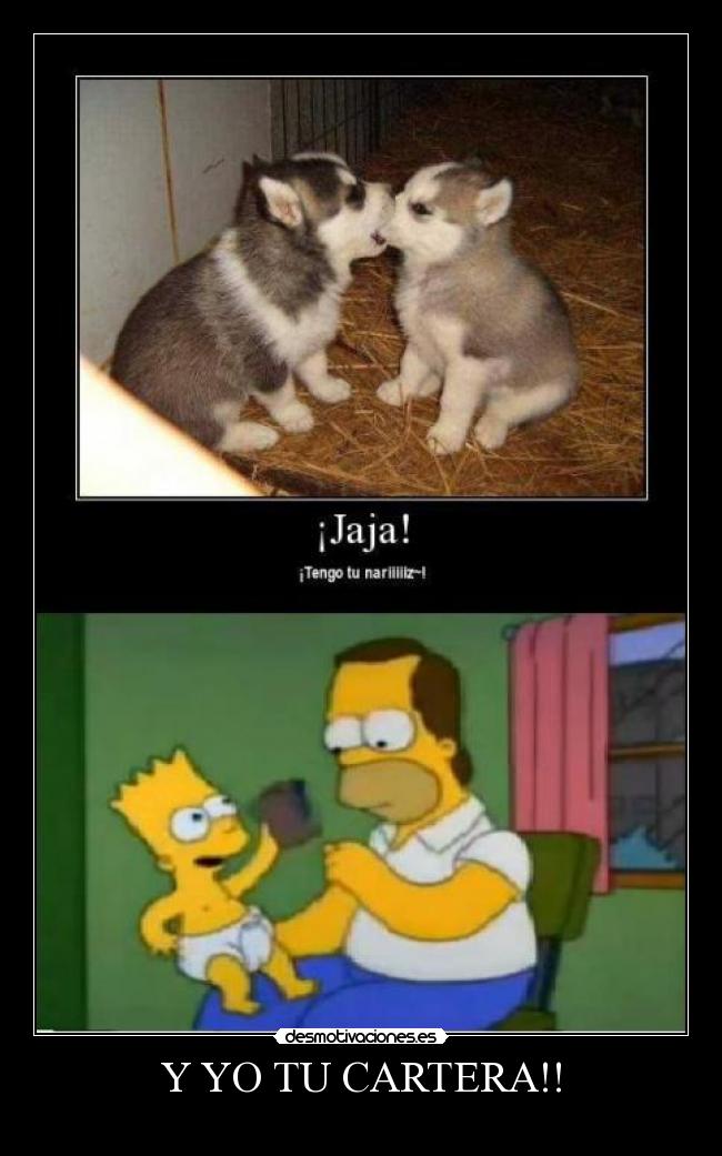 Y YO TU CARTERA!! -