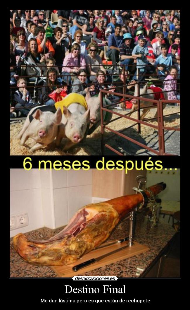 Destino Final - Me dan lástima pero es que están de rechupete