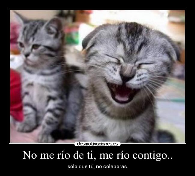 No me río de ti, me río contigo.. -