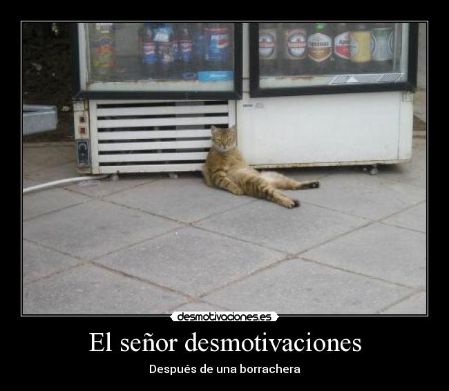 El señor desmotivaciones - Después de una borrachera