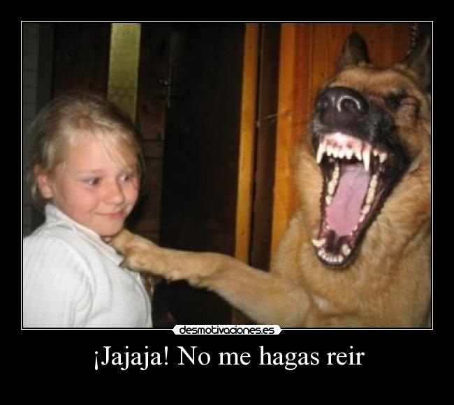 ¡Jajaja! No me hagas reir -