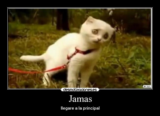 Jamas - 