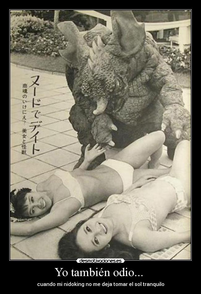 carteles odio pokemon tambien odio nidoking sol desmotivaciones