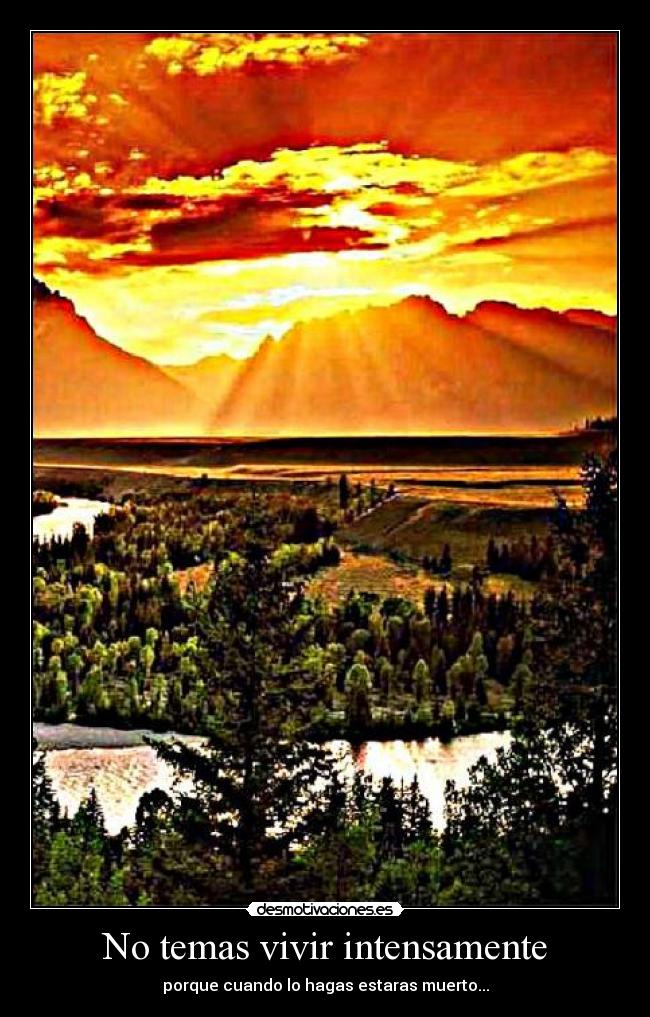 No temas vivir intensamente - porque cuando lo hagas estaras muerto...
