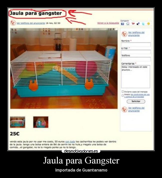 Jaula para Gangster - Importada de Guantanamo