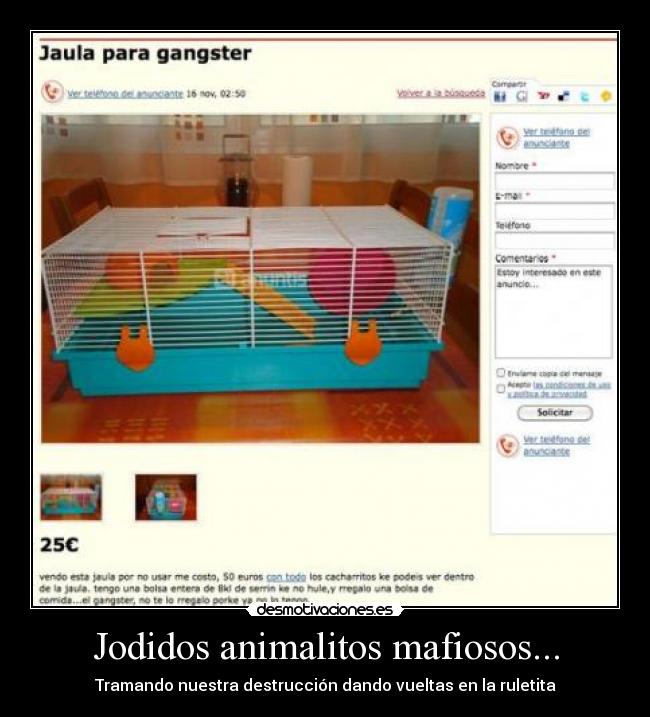 Jodidos animalitos mafiosos... - Tramando nuestra destrucción dando vueltas en la ruletita