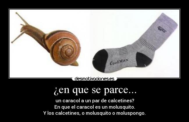 ¿en que se parce... - 