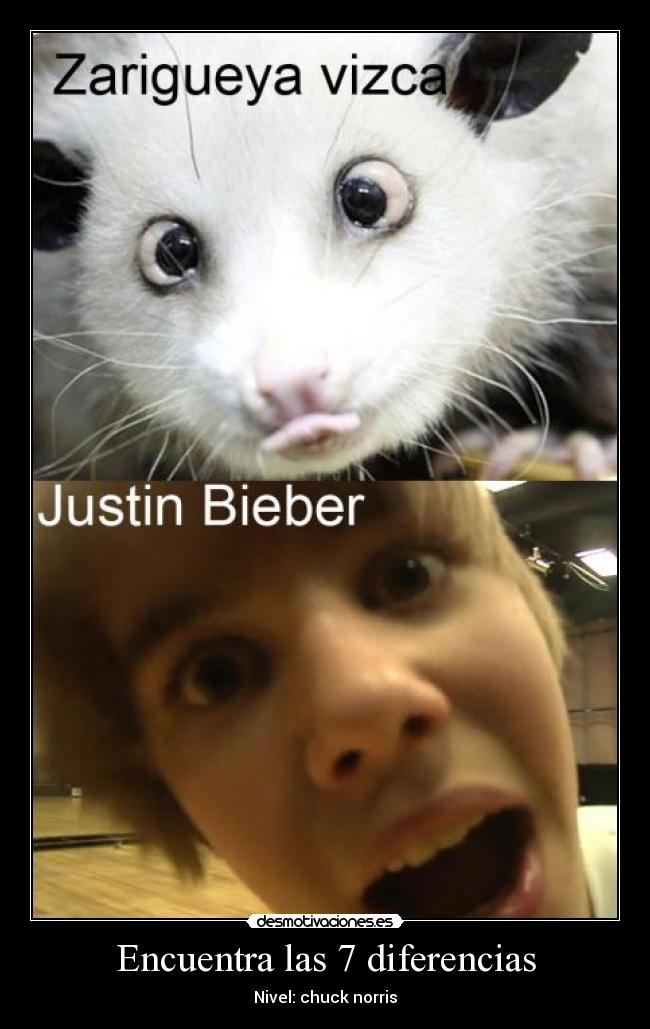 Encuentra las 7 diferencias - Nivel: chuck norris