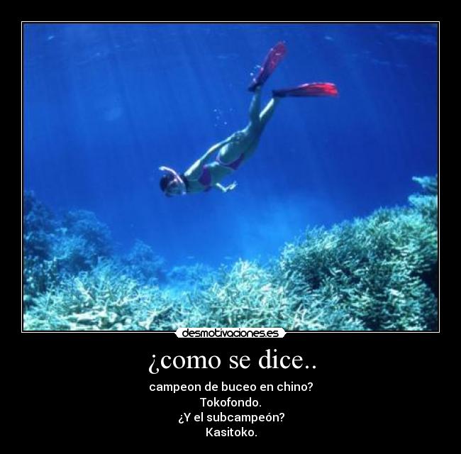 ¿como se dice.. - campeon de buceo en chino?
Tokofondo.
¿Y el subcampeón?
Kasitoko.