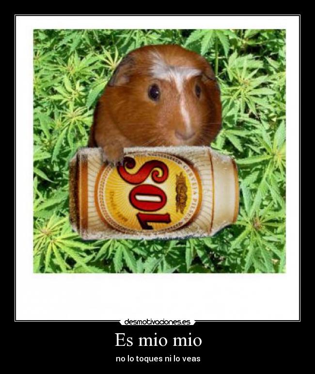 Es mio mio - no lo toques ni lo veas