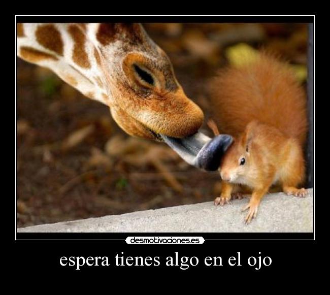 espera tienes algo en el ojo - 