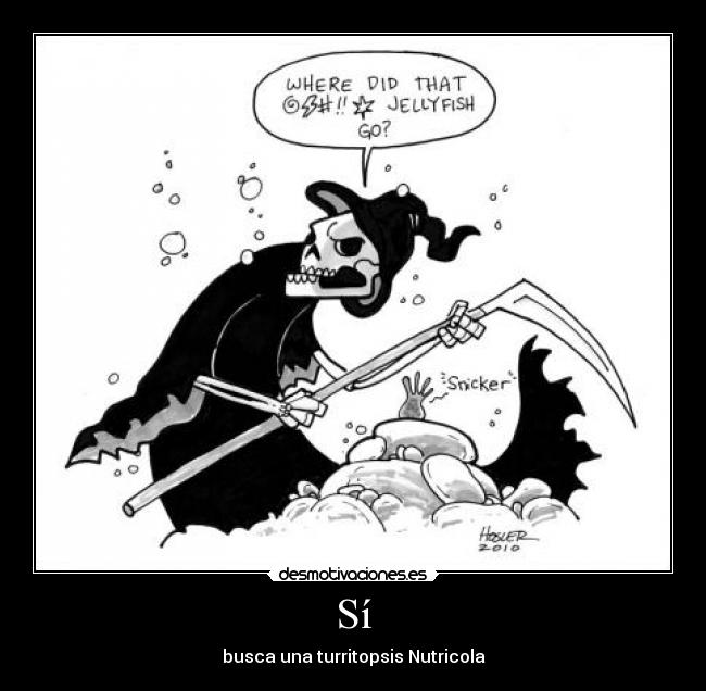 Sí - busca una turritopsis Nutricola
