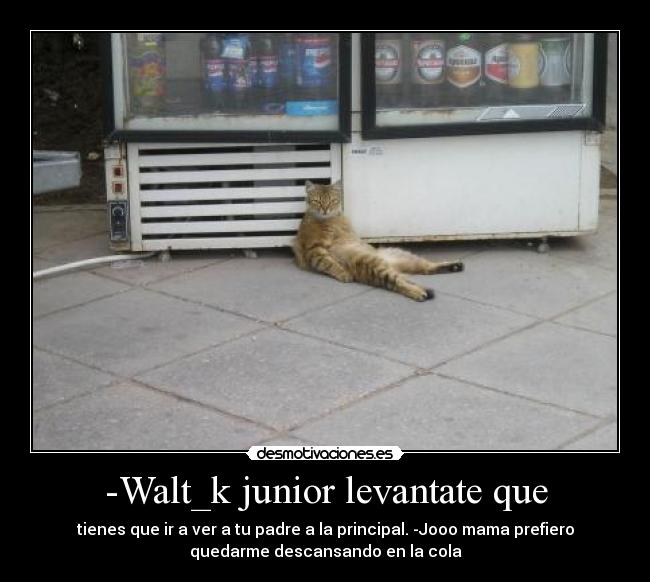 -Walt_k junior levantate que - 