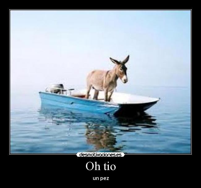 Oh tio - un pez