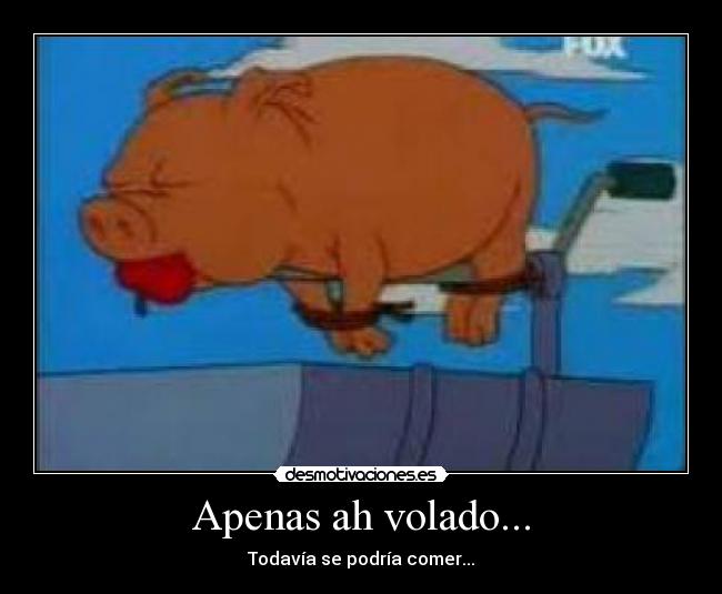 Apenas ah volado... -