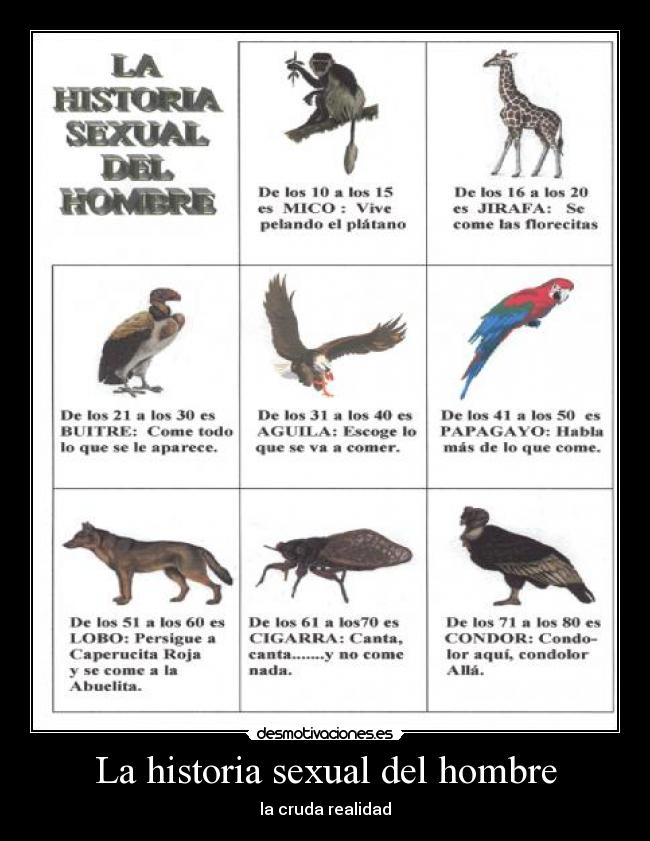 La historia sexual del hombre -