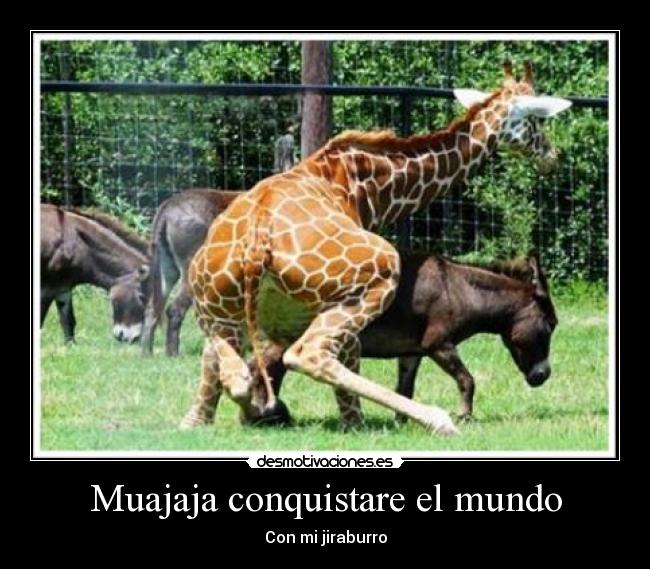 Muajaja conquistare el mundo - Con mi jiraburro