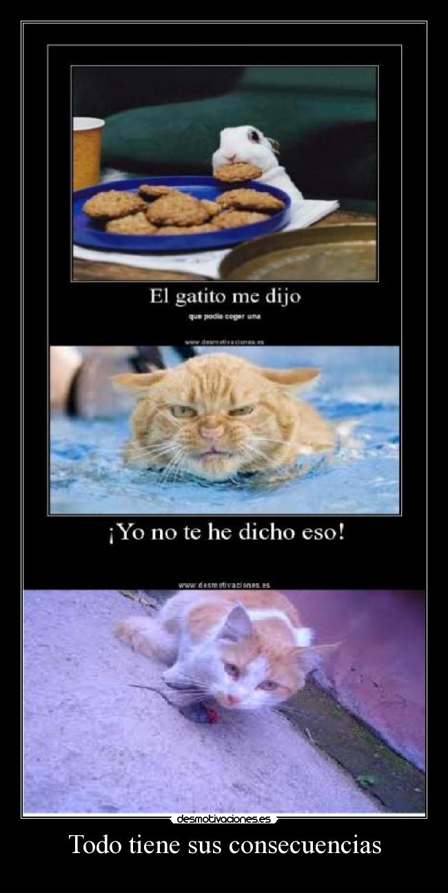 Todo tiene sus consecuencias -