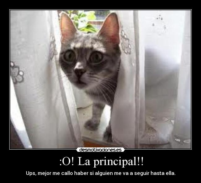 :O! La principal!! - Ups, mejor me callo haber si alguien me va a seguir hasta ella.