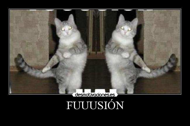 FUUUSIÓN -