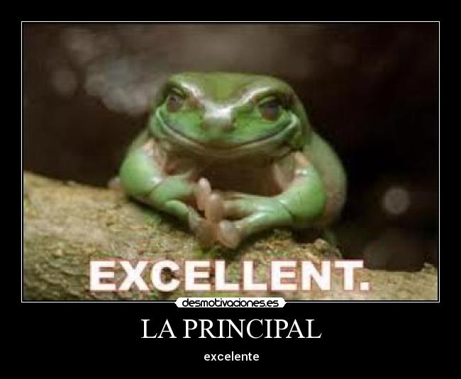LA PRINCIPAL -