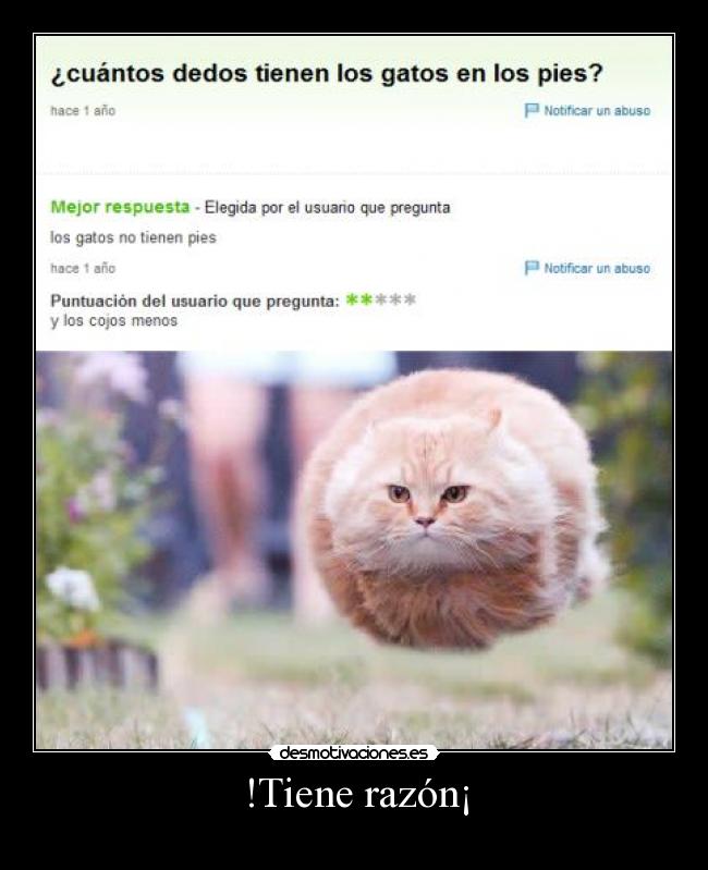 !Tiene razón¡ -