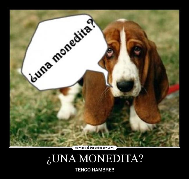 ¿UNA MONEDITA? - TENGO HAMBRE!!