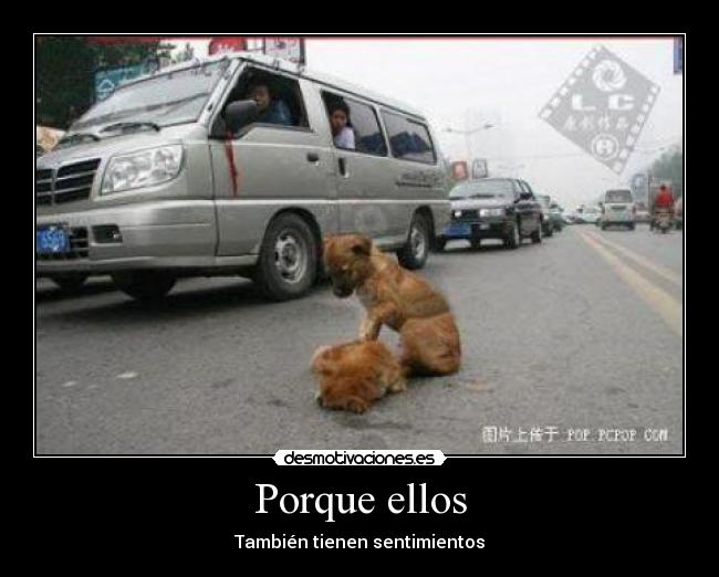 Porque ellos - 